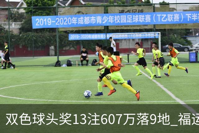 双色球头奖13注607万落9地 福运奖开1004万注